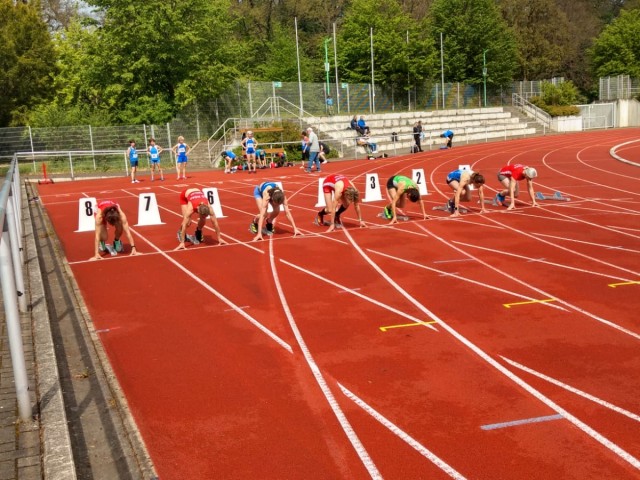 Offene Landesmeisterschaft Masters 2024 in Zittau